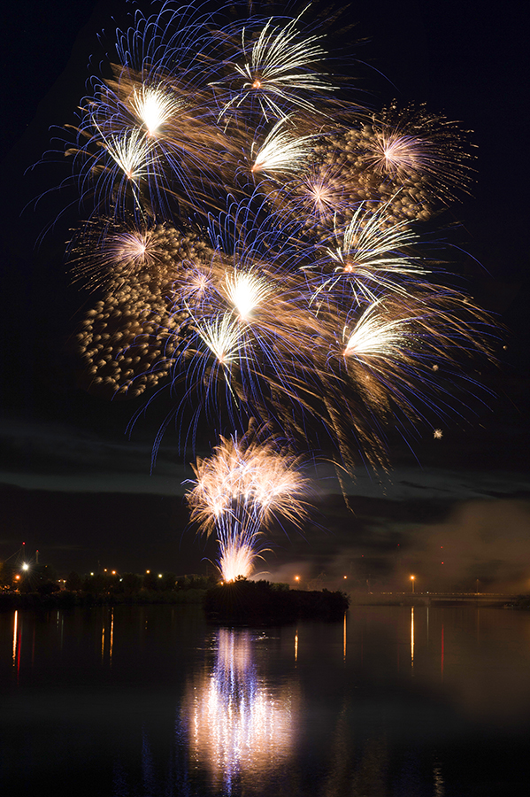 About the Melaleuca Freedom Celebration 20 Years with Melaleuca