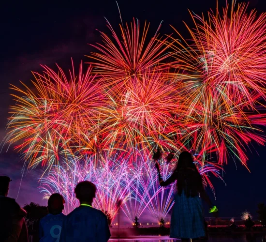 FireworksStandardJournal